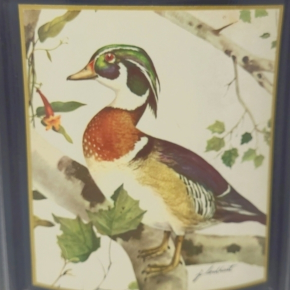 JIM BEAM KENTUCKY WHISKEY DECANTER THE WOOD DUCK BY J. LOCKHART - EMPTY - Picture 2 of 12